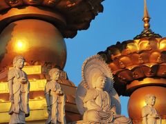 -上海东林寺(金山区)
