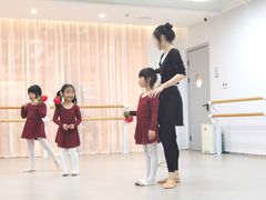 -红舞鞋舞蹈教育(近江校区)