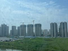 -宁波杭州湾国家湿地公园