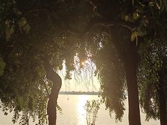 -丁香湖公园
