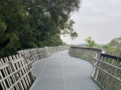 -福道