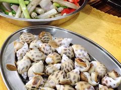 蚝-蚝专家(北滘店)