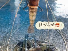 -SHRIMP CLUB万东餐饮钓虾·清吧