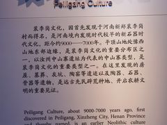 -平顶山博物馆
