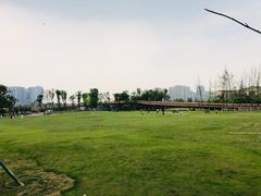 -府河摄影公园