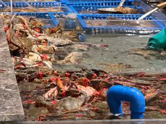 -一方渔歌蒸汽海鲜自助(文化路万达广场店)