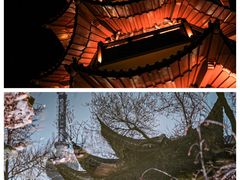 -九里湖国家湿地公园