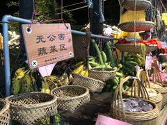 -园林美食城·本土农家菜(杨和镇店)