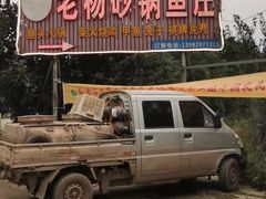 -老杨砂锅鱼庄