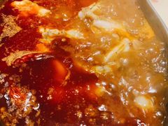 -销魂美蛙鱼头火锅(上海首店)