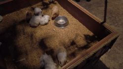 -酷嗒动物文化乐园(cutezoo西溪乐天城店)