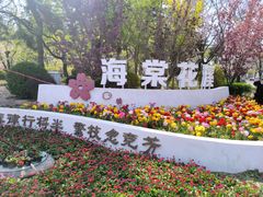 -海棠花溪(元大都城垣遗址公园)