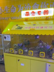 -神奇动物撸宠馆·羊驼·小浣熊·异宠(豫园店)