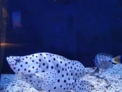 -成都浩海立方海洋公园