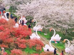 -华谊兄弟（长沙）电影小镇