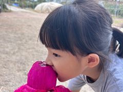 -尚果生态采摘园