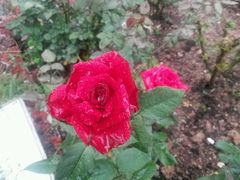 -人民公园(罗湖区)