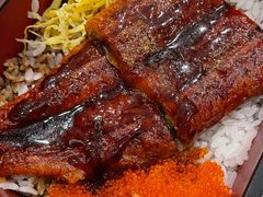 -Hatsune隐泉日式料理(SKP店)