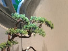 -中国徽菜·徽商故里(广安门店)