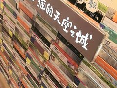 -猫的天空之城概念书店(大学路店)