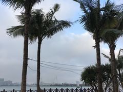 -万绿园