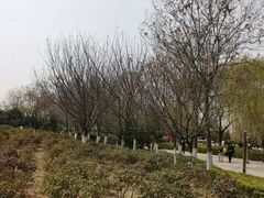 -西安青龙寺遗址景区