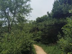 -高尔山公园