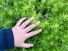 -徐家汇源景区-衡山公园