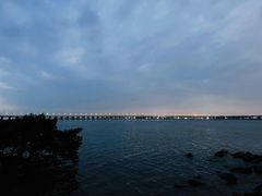 -宝安西湾红树林湿地公园