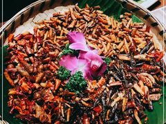 -老滇山寨•云南特色菜•地方菜•民族风情歌舞表演(金碧店)