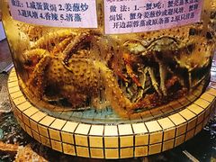 -荔城生鲜盛宴(番禺旗舰店)