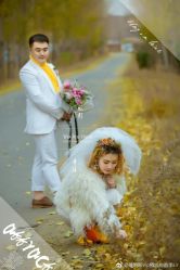 点击看大图 -维纳斯婚纱摄影(鞍山店)