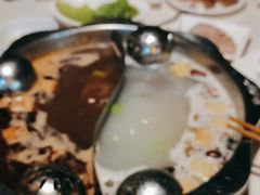 鸳鸯锅底-傣妹休闲时尚火锅(星力壹号店)