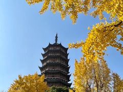 -北寺塔