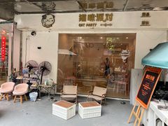 -猫咪派对(江南西店)