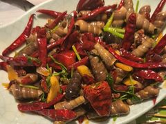 -寂寞的豆芽 烧烤酒场(丽景店)