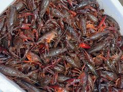 -众彩物流水产市场