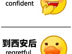 -秦始皇兵马俑博物馆-停车场