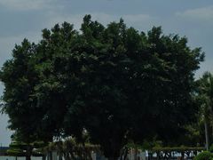 -石炮台公园