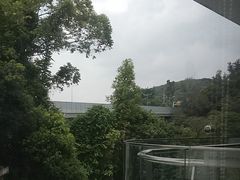 -点都德(广州白云山景区南门店)