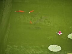 -房湖公园