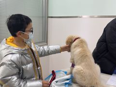 -佳雯宠物医院·皮肤科·内外科(春晓路分院)