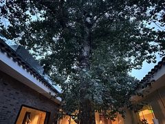 -自如ZSPACE四合院艺术餐厅