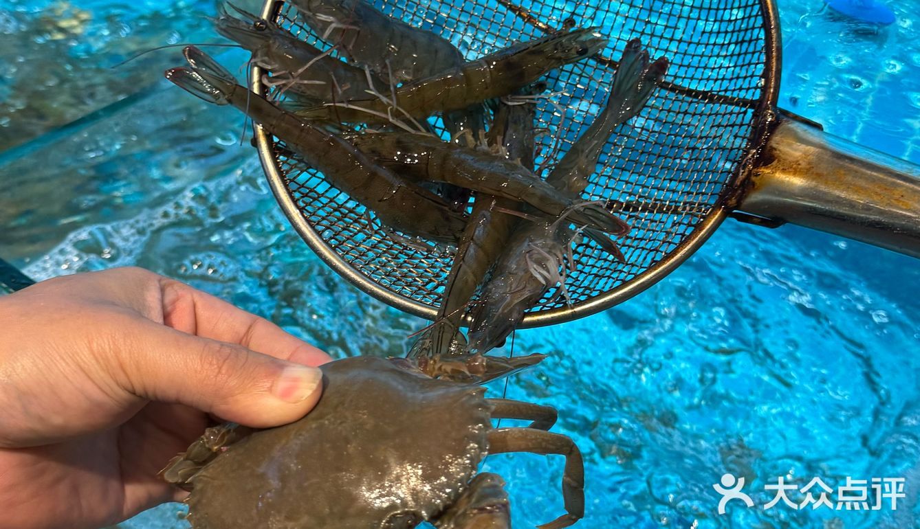 在义乌！你永远可以相信人多的小馆子！