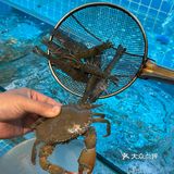 在义乌！你永远可以相信人多的小馆子！