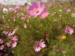 -艾山风景名胜区