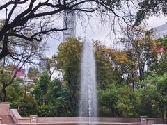 -九龙公园