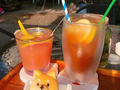 -柴犬高等学院·狗咖·柴犬售卖·宠物训练