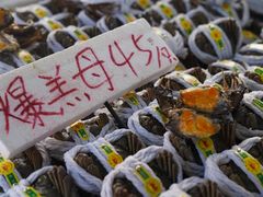 -南沙十九涌渔人码头-南门