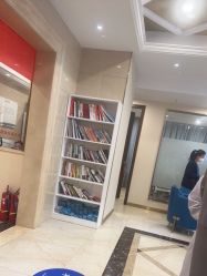 -碧莲盛·不剃发植发